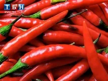 Таблетки з капсаїцином у боротьбі проти зайвих кілограмів, ТБН-Україна таблетки