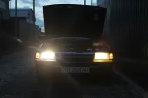 тест