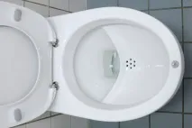 Унітаз, як вибрати правильний і зручний унітаз, Робимо своїми руками вибрати