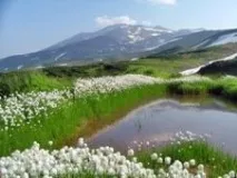 Тури Камчаткою влітку тури