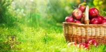 Які продукти містять клітковину для схуднення, користь, шкоду користь