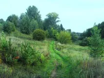 Велопрогулянки Стара Малинівка, Грем’ячка, Нова Малинівка (1 частина), Блог Вятские Поляны велопрогулянки