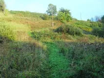 Велопрогулянки Стара Малинівка, Грем’ячка, Нова Малинівка (1 частина), Блог Вятские Поляны велопрогулянки