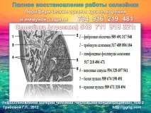 Відновлення селезінки після травми, Усвідомлене життя відновлення