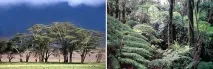 Wonderful-planet - Кліматичні пояси Землі землі