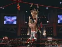 Зарплати рестлерів WWE та TNAimpact тисяч