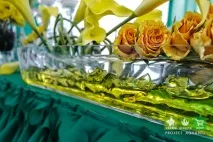 Зелено-жовте весілля -2013 весілля