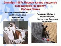 біологія