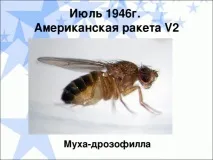 презентації