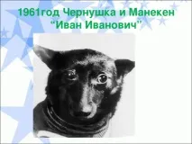 тварини