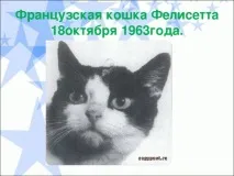 http