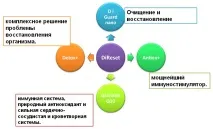 Знайомтесь, DiReset – новий комплекс БАД Vision для Вашого імунітету новий