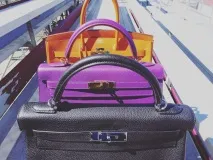знати