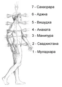 ступені
