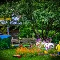 Ах, літо, літо…! Чим зайняти дітей на природі дітей