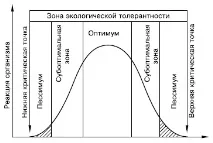 видове