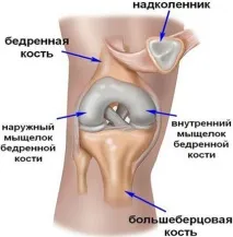розсікаючого
