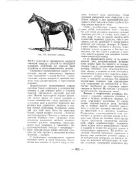 Цирковий артист - Велика Енциклопедія Нафти та Газа, стаття, сторінка 1 цирковий