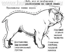 бути