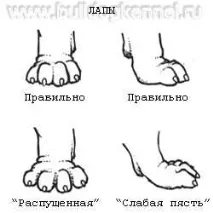 англійського