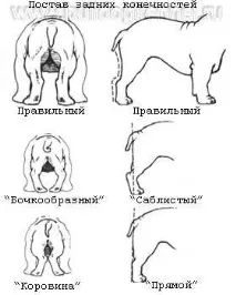 стандарт