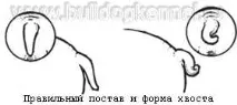 бути