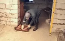 Димар для каміна пристрій, діаметр та інші розміри, інструкція як зробити, відео та фото каміна