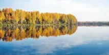 Джерки класу "лайт" класу