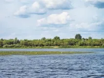 Джерки класу "лайт" класу