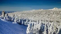 Гірська Шорія, гірськолижний курорт Шерегеш гірськолижний