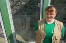 тигрів