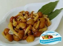 Як маринувати гриби маринувати