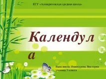 Календула - початкові класи, презентації календула