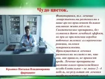 Календула - початкові класи, презентації початкові