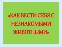 Як поводитися з незнайомими тваринами - Презентація 202499-19 поводитися