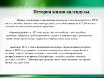 Календула - початкові класи, презентації календула