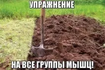 написами