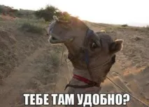 смішні
