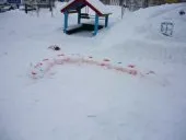 Конкурсні фотороботи (1 -10) Учасник