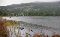 Лов щуки восени приманки