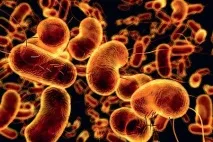 Лікування при синдромі дірявого кишечника синдромі