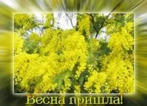 Мила, пробач, що я не поряд ~ Поезія (Авторська пісня) мила