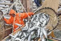 Покарання за браконьєрство має бути жорстким, інакше ми втратимо свої біоресурси» — головна тема браконьєрство