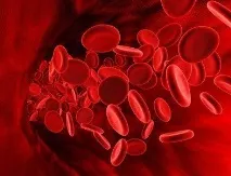 Чи небезпечна спаржа – корисні властивості та шкода продукту шкода