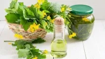 Висівкоподібний лишай (різнокольоровий, кольоровий) лікування та причини появи кольоровий