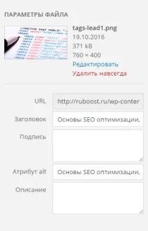 Основи SEO оптимізації, найважливіші моменти основи