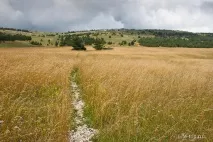 Піший похід через Великий каньйон Криму та до Ай-Петрі каньйон