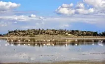 Пляж Лейдіз Майлз Біч, Лімассол, Кіпр - онлайн довідник лімассол