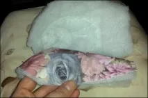 тільки