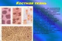 Харчування при переломах кісток кісток